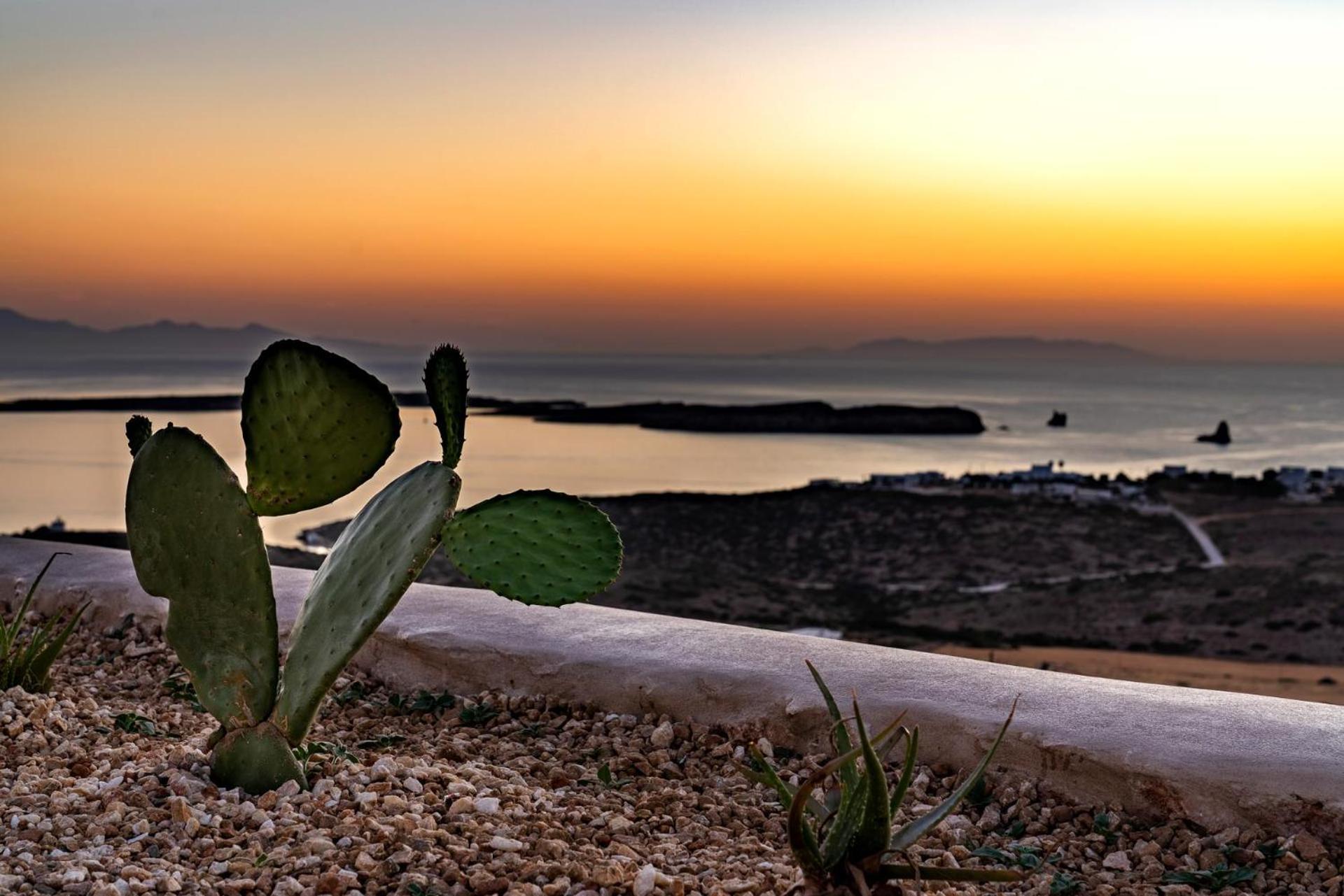 Hotel Mythic Paros , Adults Only Agia Irini  Pokój zdjęcie